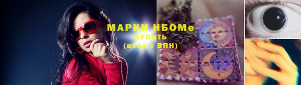 шишки Саяногорск