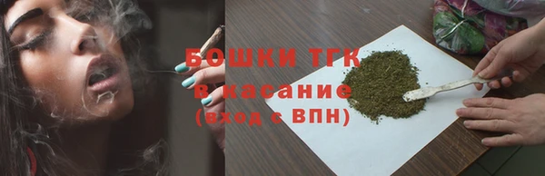 шишки Саяногорск