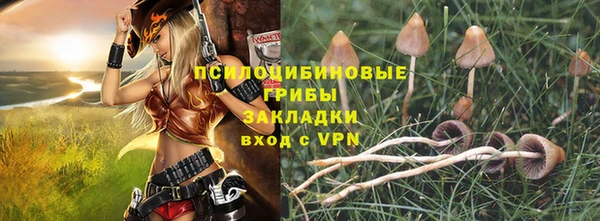 шишки Саяногорск