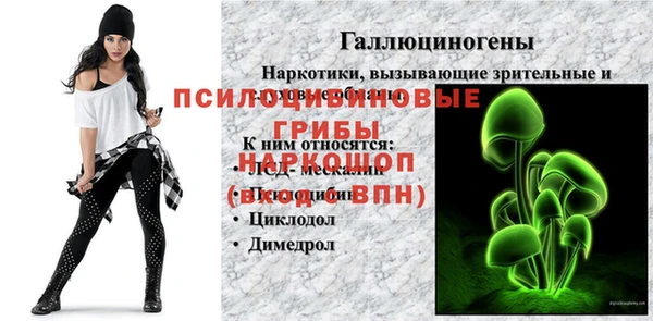 соль ск Сафоново