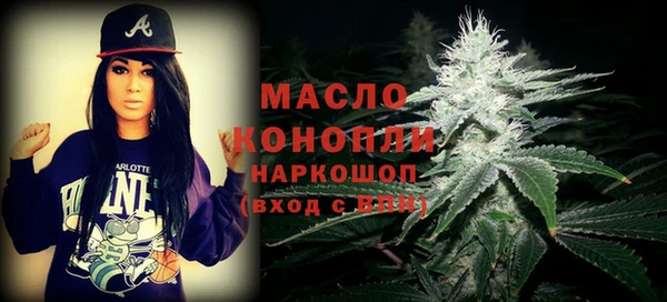 шишки Саяногорск