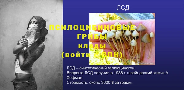 шишки Саяногорск