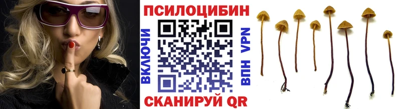 Псилоцибиновые грибы Magic Shrooms  Купить закладки  Салаир 